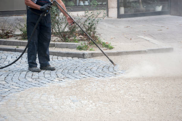 Best Parking Lot and Garage Cleaning  in Lucedale, MS